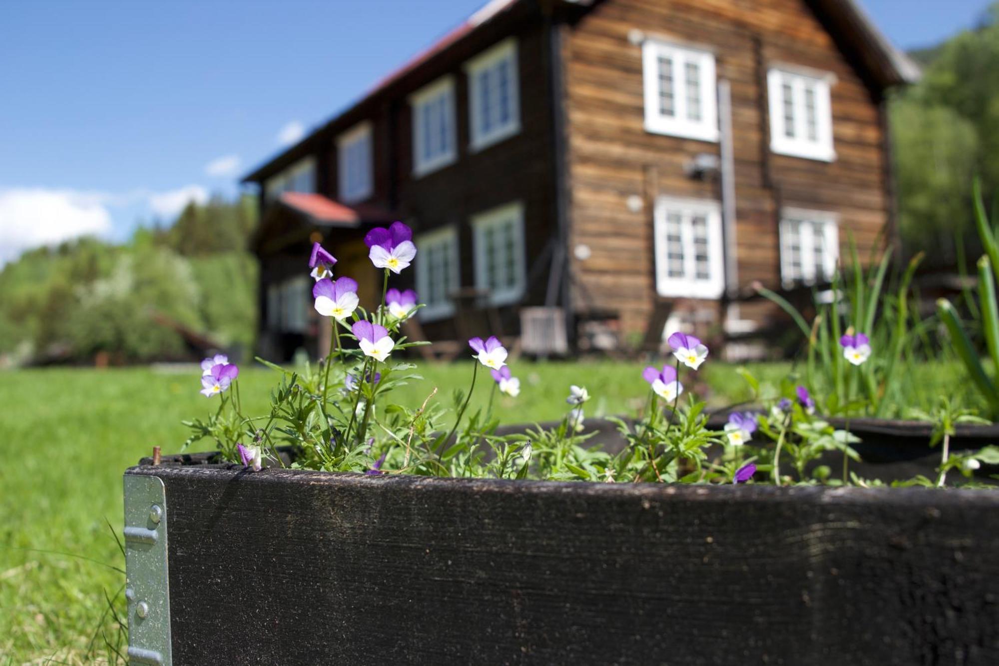Sevletunet B&B And Cabins Rodberg 外观 照片
